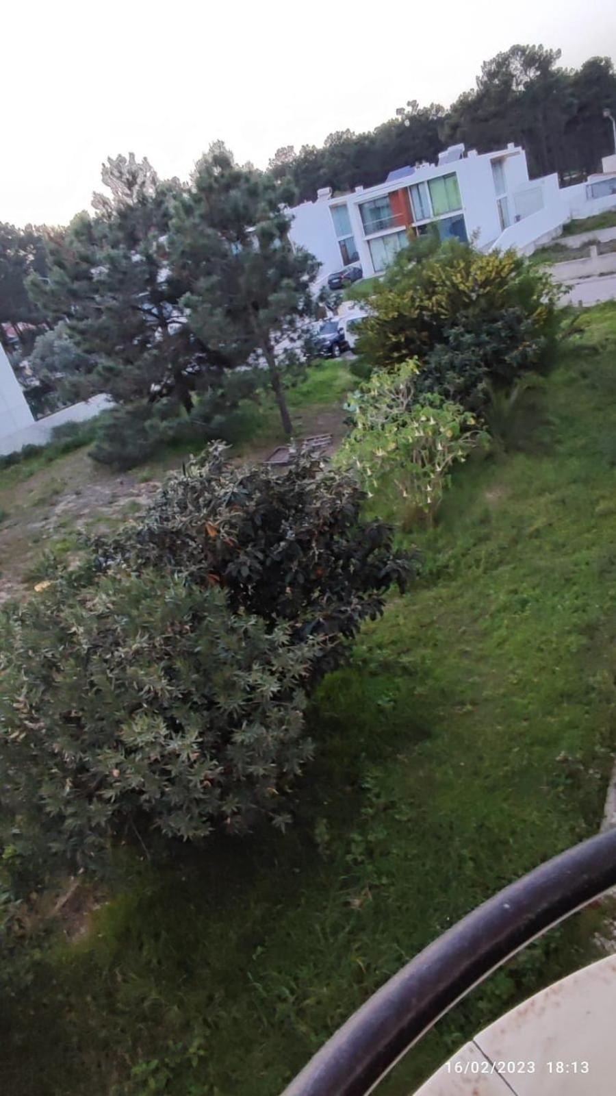 Beach, Surf And Golf Apartment Near Lisbon Aroeira  Екстер'єр фото